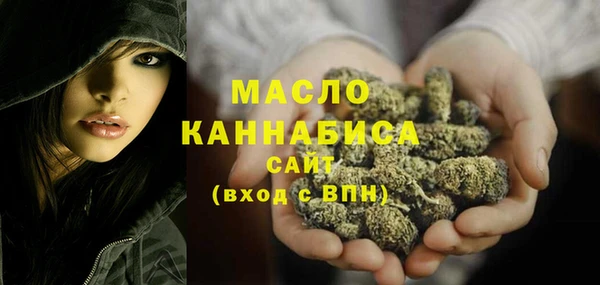 дмт Абаза