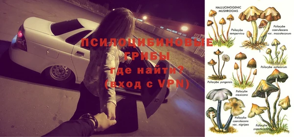 стафф Абинск