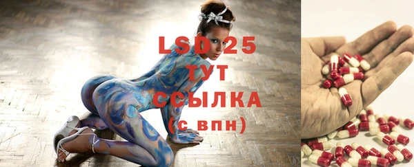 стафф Абинск
